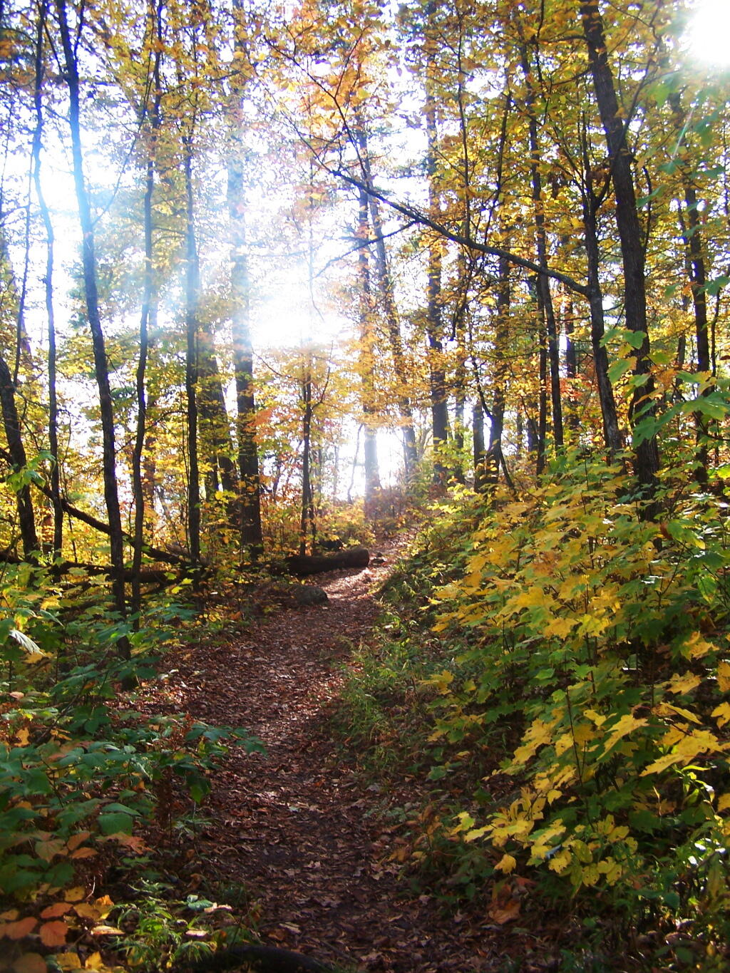 Photo: Heading Down Severance Hill