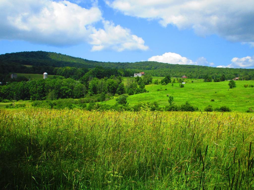 Photo: Outside of Stamford-07-22_13-53_56_9