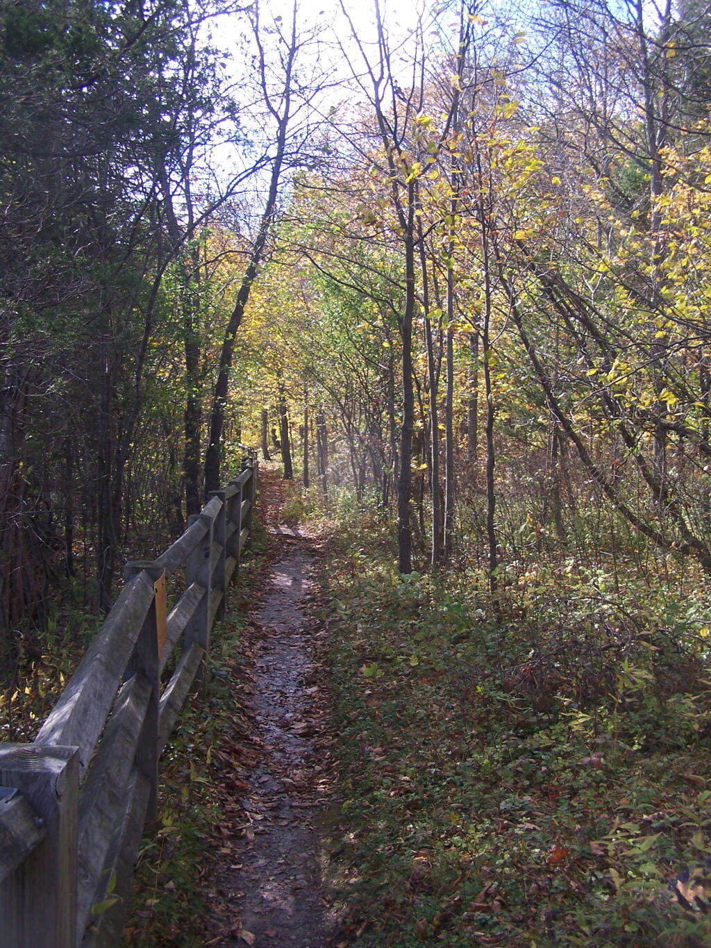 Photo: Along the Fence