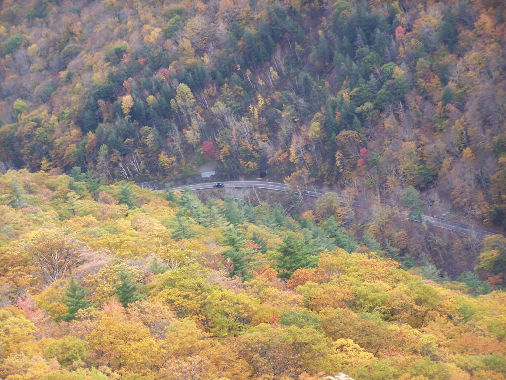 Photo: NY 23A Below