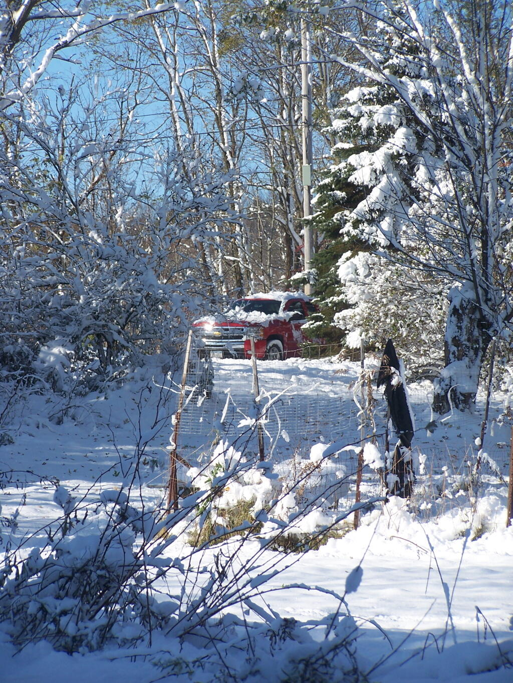 Photo: Big Red Under Fresh Snow