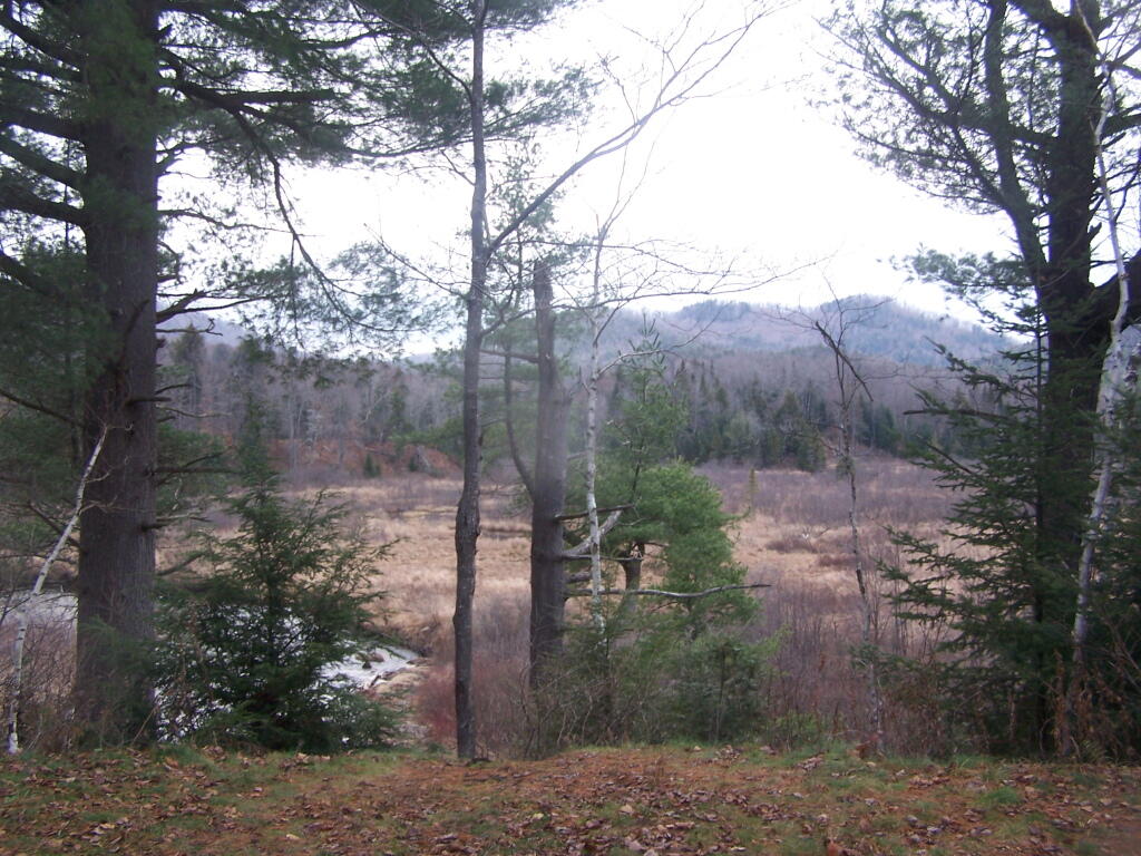 Photo: Looks Cold and Winter Like at Foxx Lair