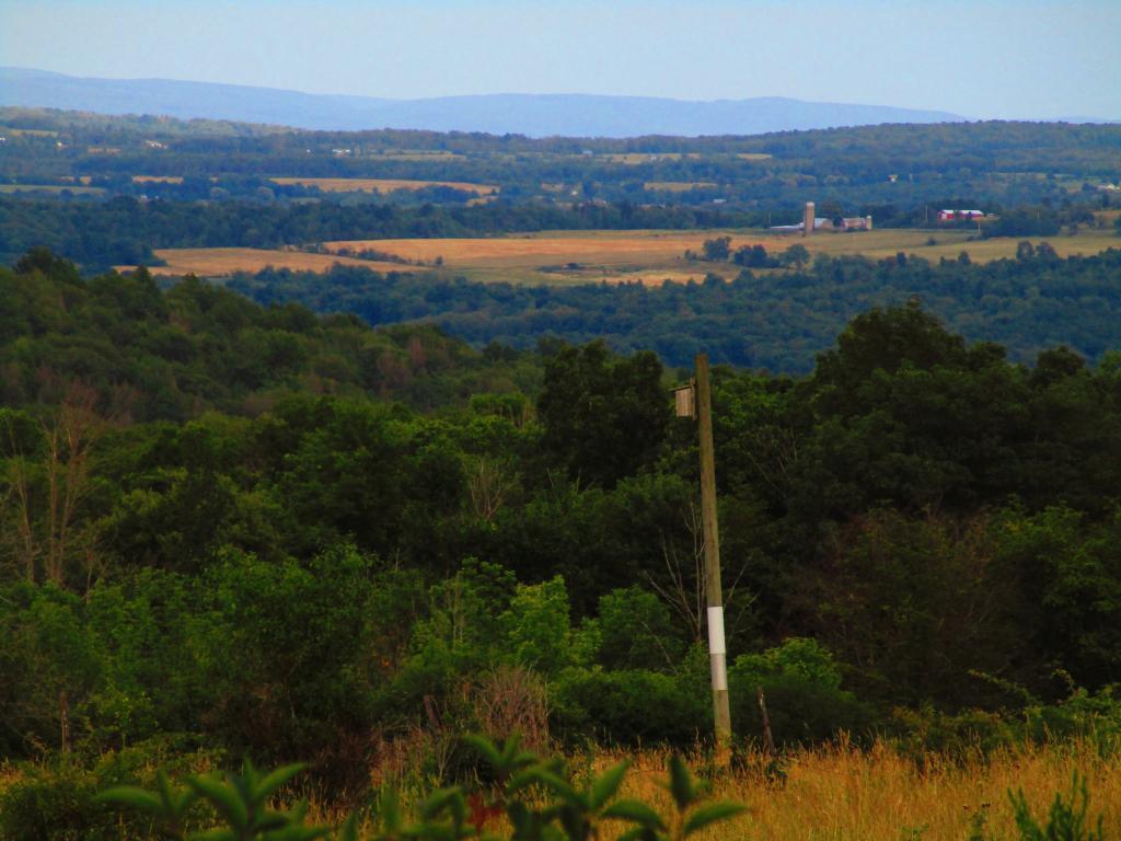 Photo: East to Ithaca