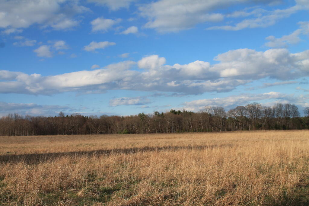 Photo: Clearing Out a Bit