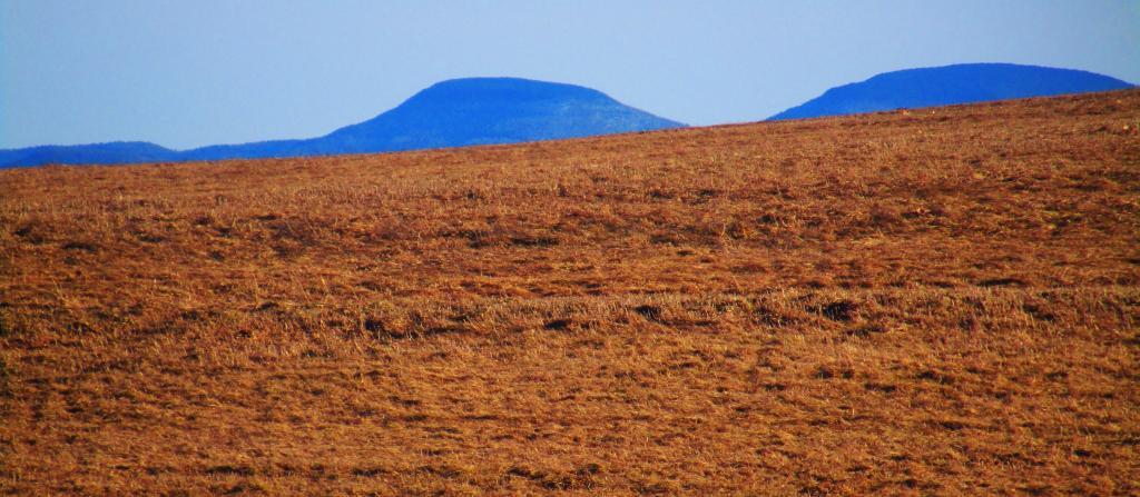 Photo: Peaks Photo: Peaks