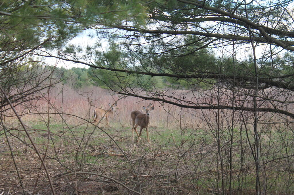 Photo: Well, Hello There.