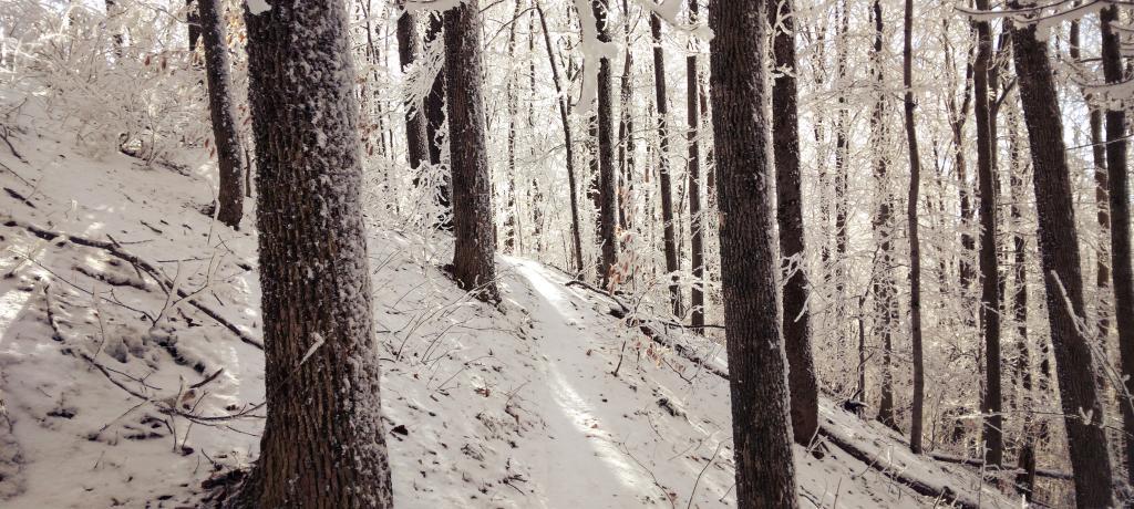 Photo: Mountain Bike Trail
