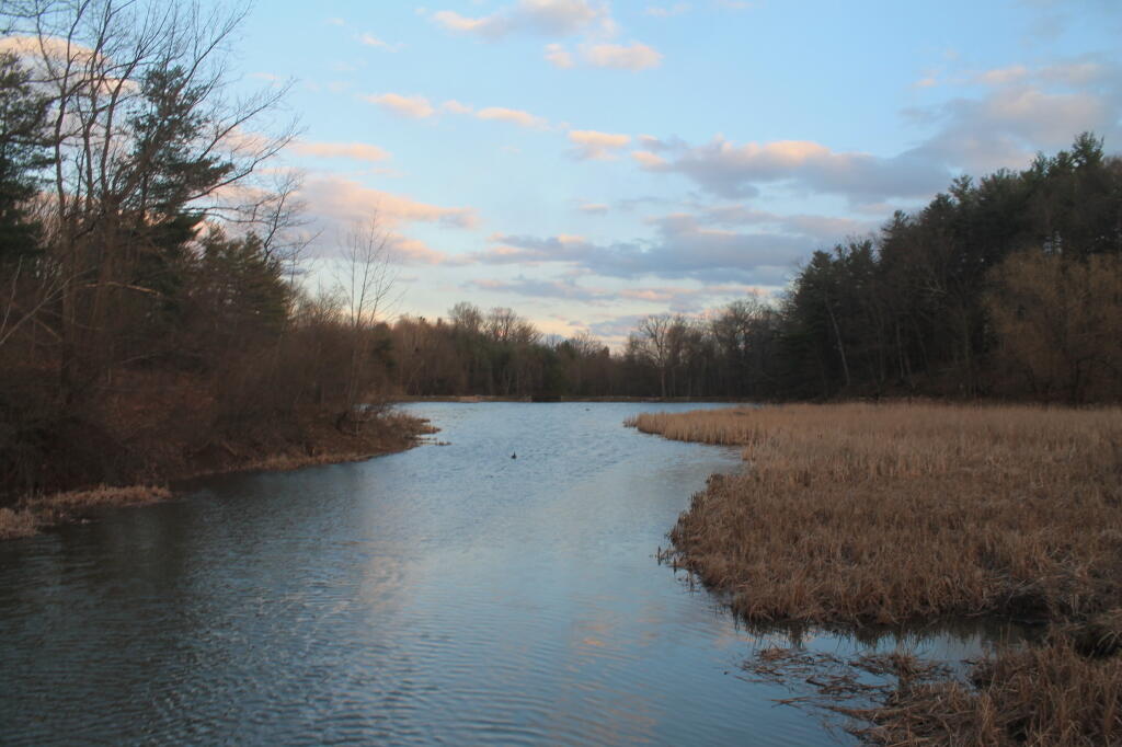 Photo: Lower Pond
