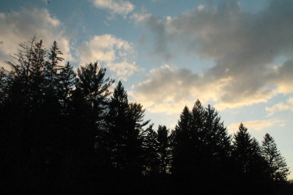 Photo: Clouds Over the Trees
