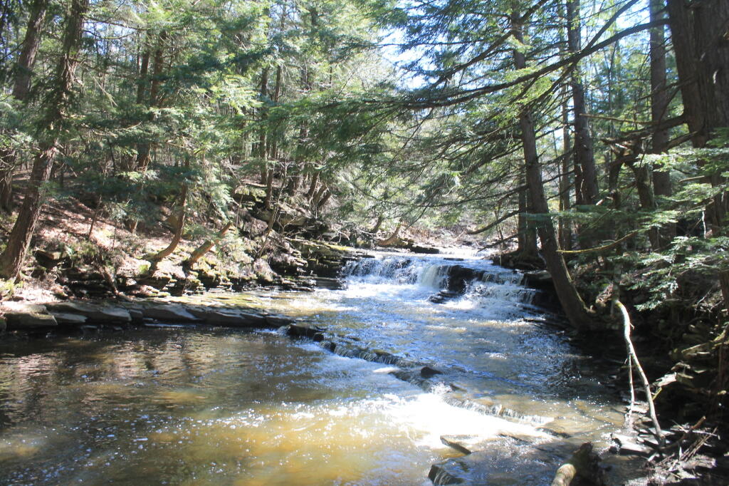Photo: Small Falls in Bozenkill