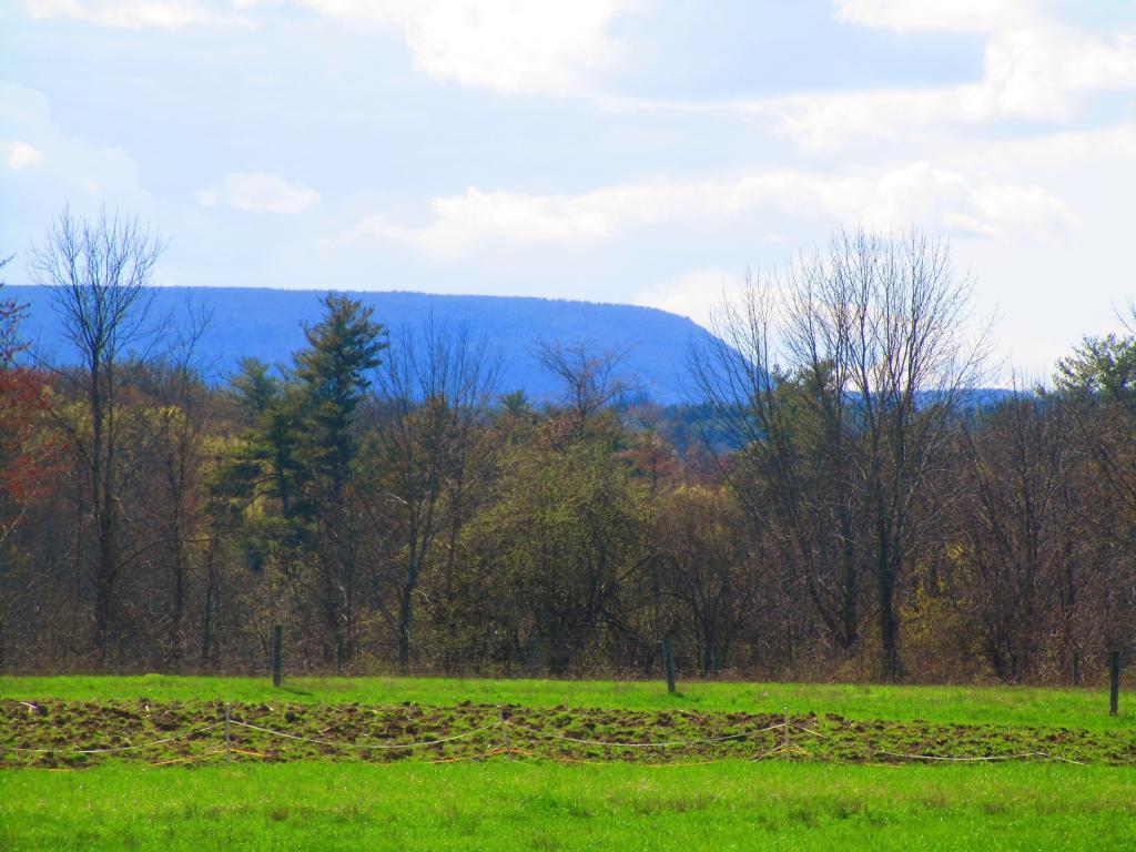 Photo: Bennett Hill