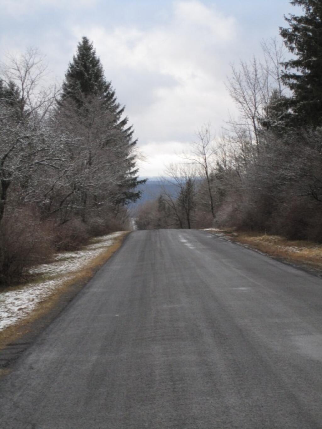Photo: Some Snow on the Trees