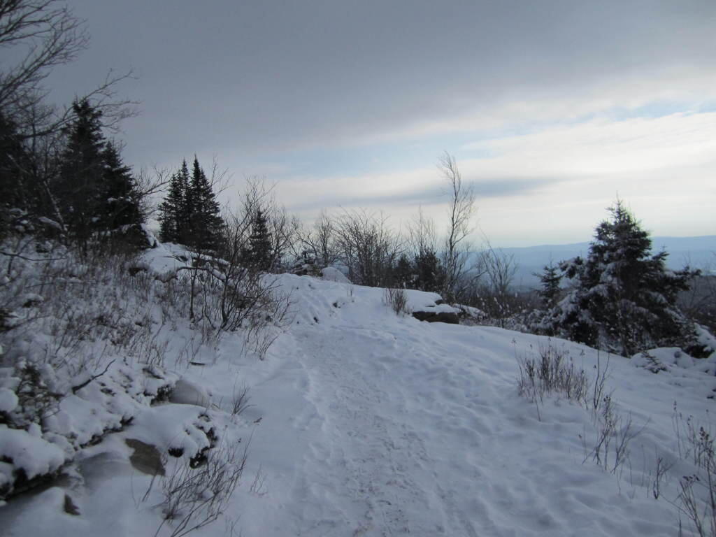 Photo: Along the Trail