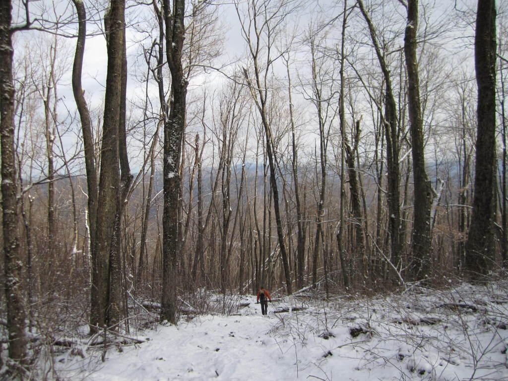 Photo: Hiker Heads Down Mountain Photo: Hiker Heads Down Mountain