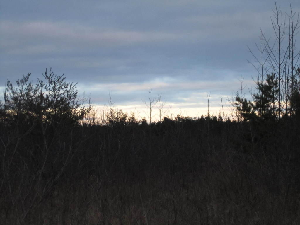 Photo: Dusk