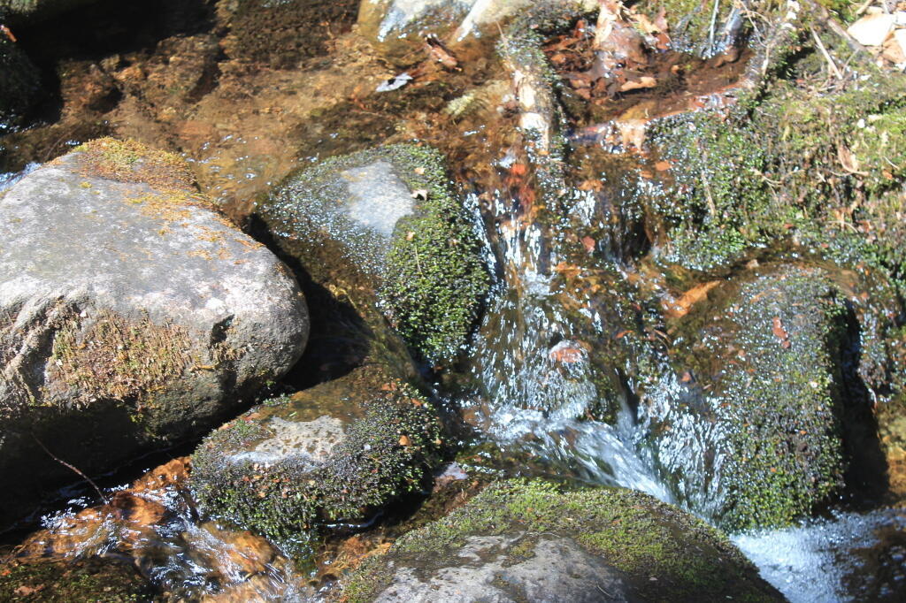 Photo: Photo.2013.04.28 13.02.08 Photo: Photo.2013.04.28 13.02.08