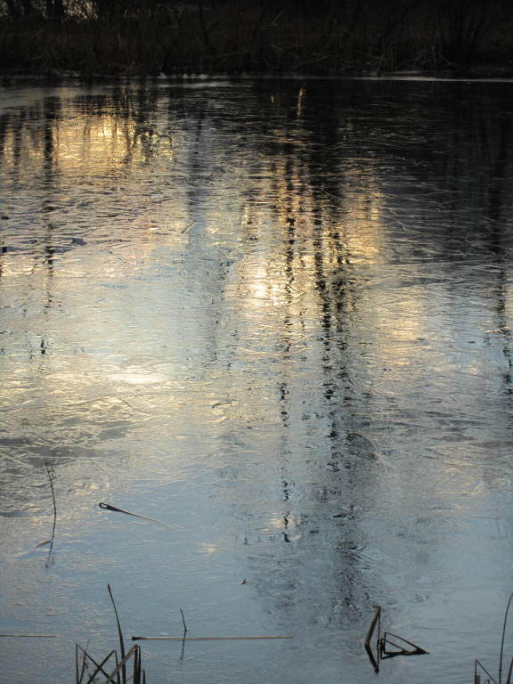Photo: Ice Reflecting