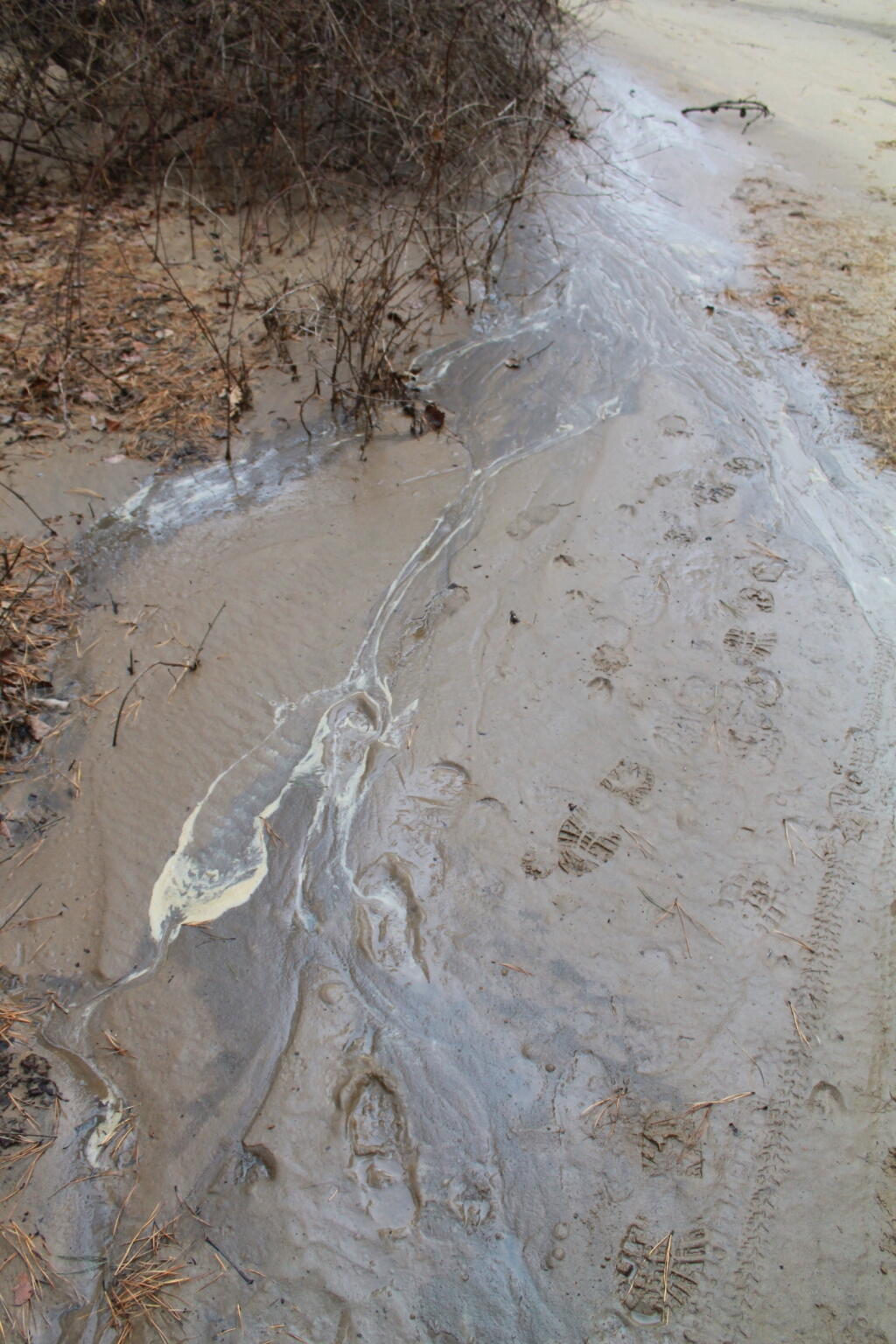 Photo: Foamy Lechate Leaking Off the Landfill Photo: Foamy Lechate Leaking Off the Landfill