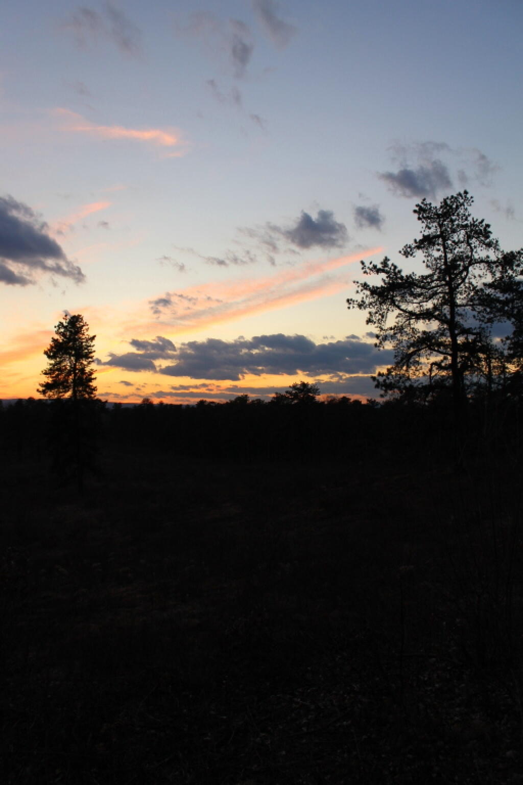 Photo: Dusk