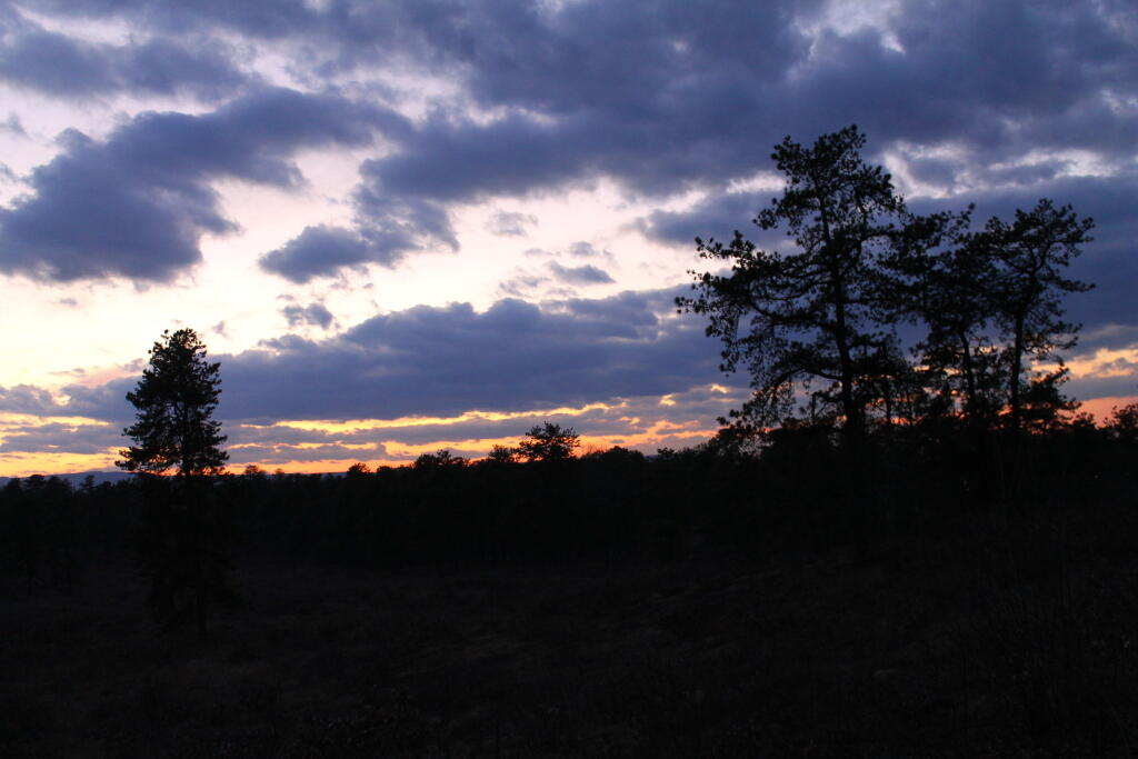 Photo: Untitled