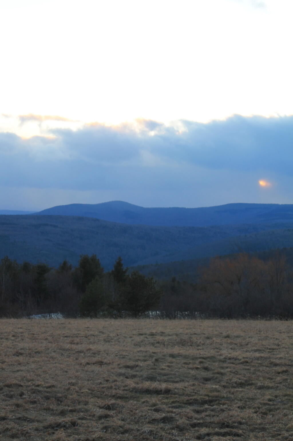 Photo: View from Farm on Scutt Road