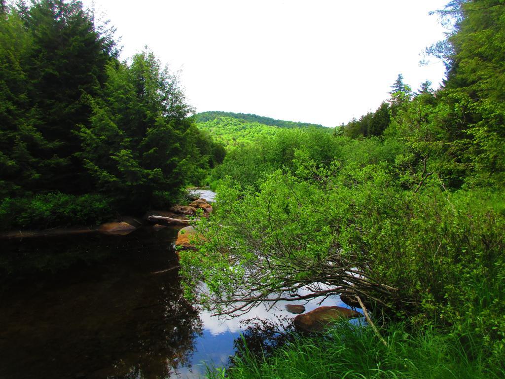 Photo: Big Alderbed Mountain
