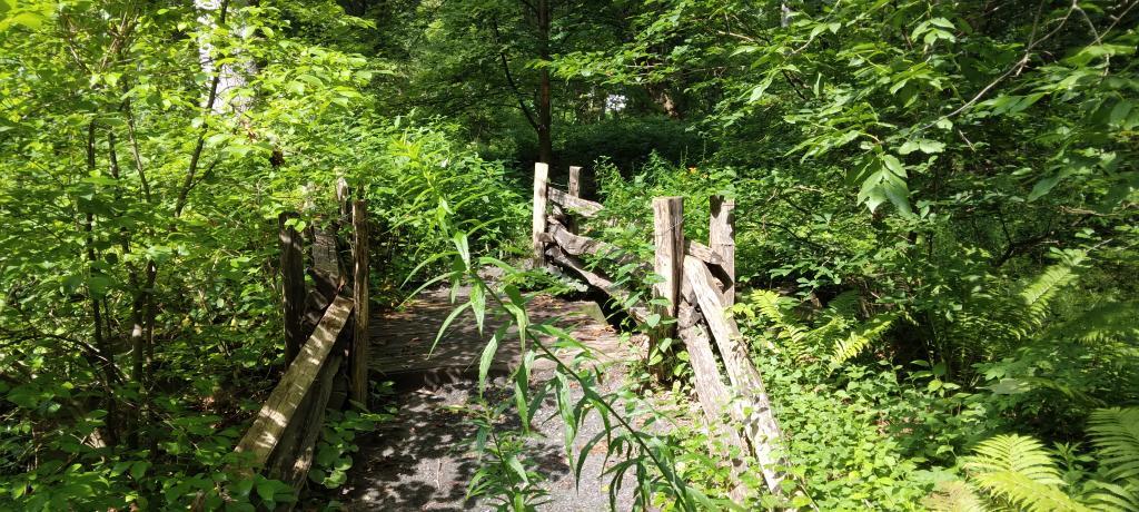 Photo: Deer damaged vs deer protected wildflower gardens