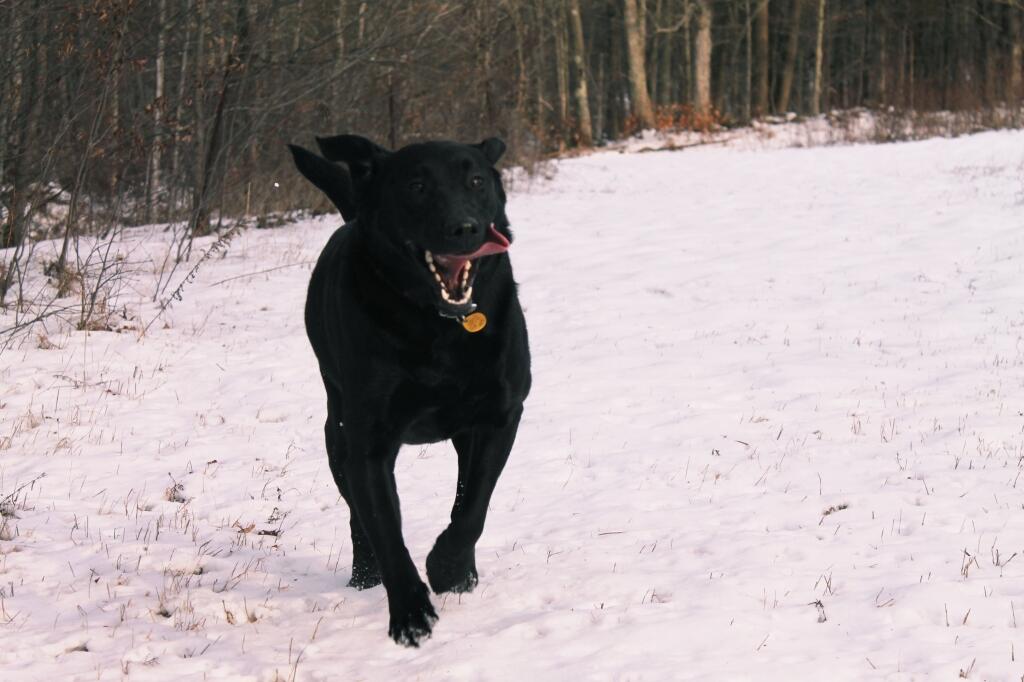 Photo: Happy !!