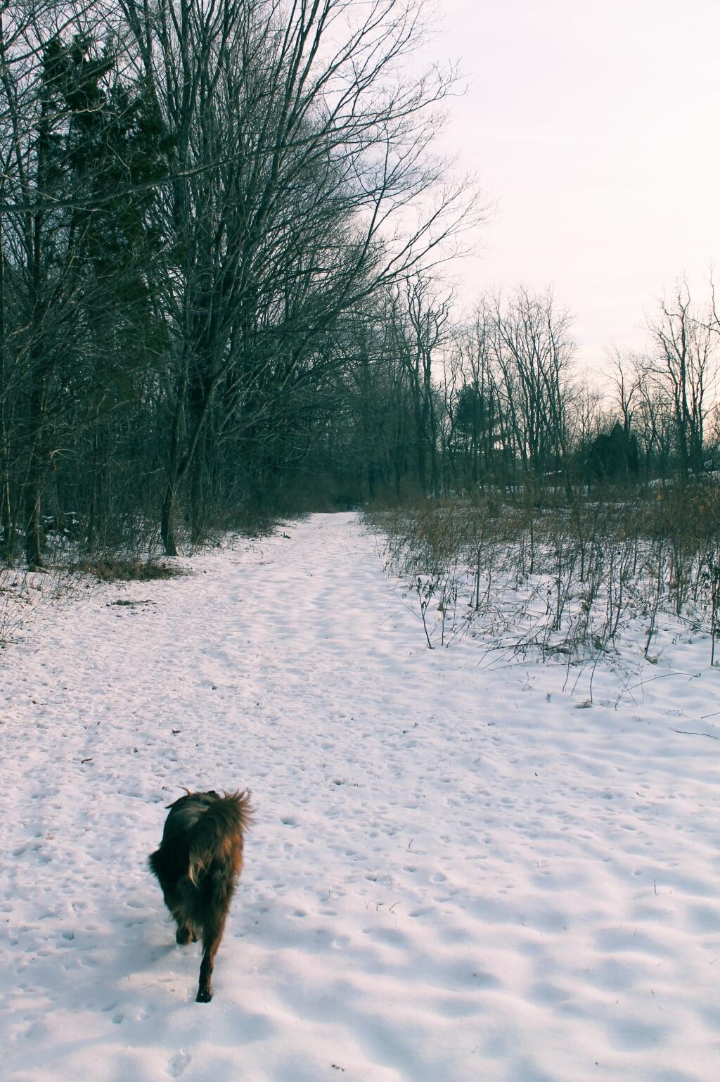 Photo: Running Out Back