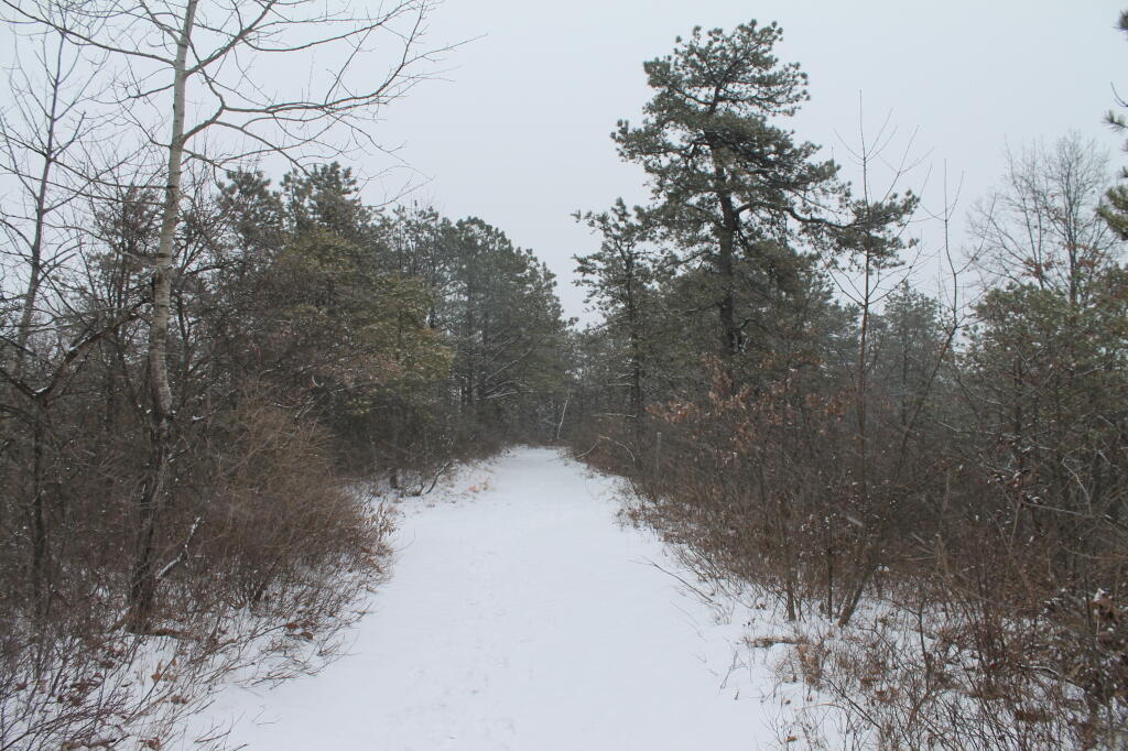 Photo: Along the Blue Trail