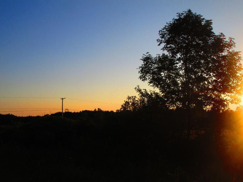 Photo: Dawn