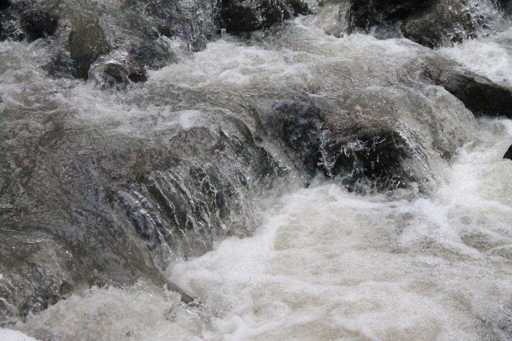 Photo: Water 1