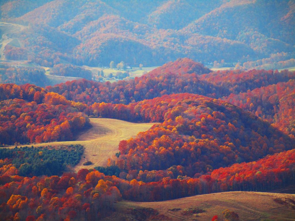 Photo: Farm Country North of Parsons