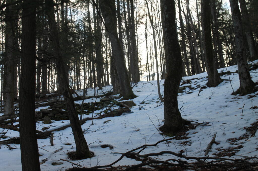Photo: Up the Hill