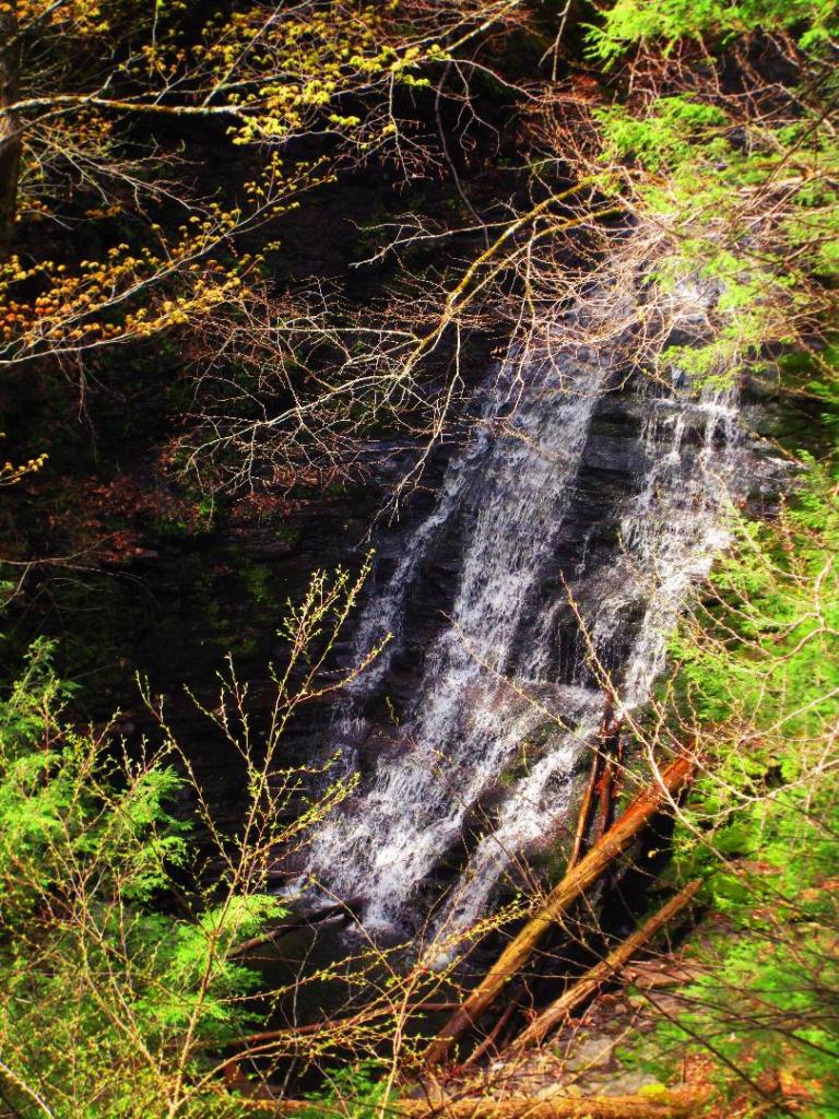 Photo: Slidding Rock Falls [Expires May 18 2026]