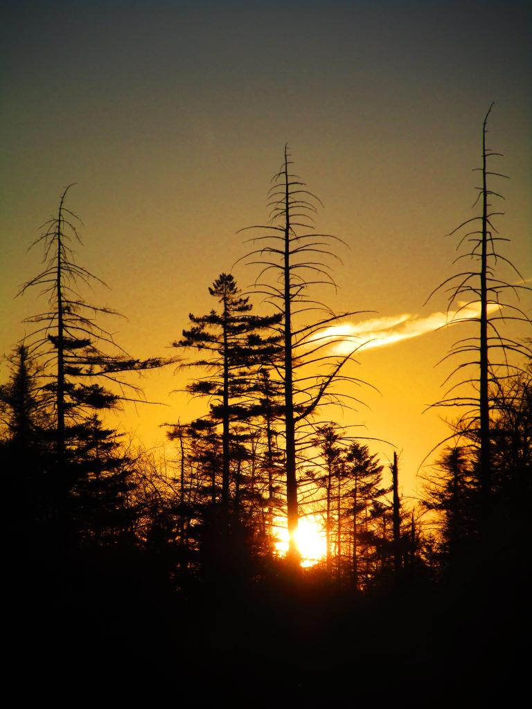 Photo: Sunrise