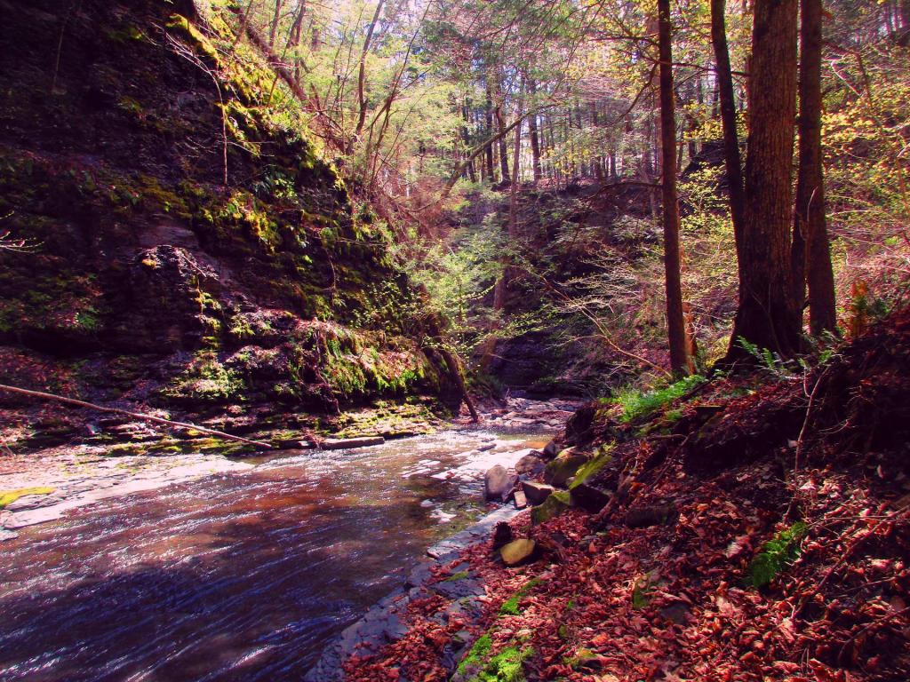 Photo: The Gorge [Expires May 18 2026]