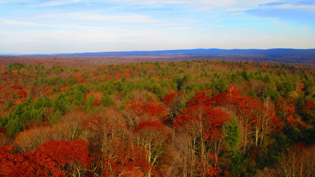 Photo: Flat Land - No the Allegheny Front