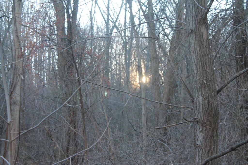 Photo: Setting Sun