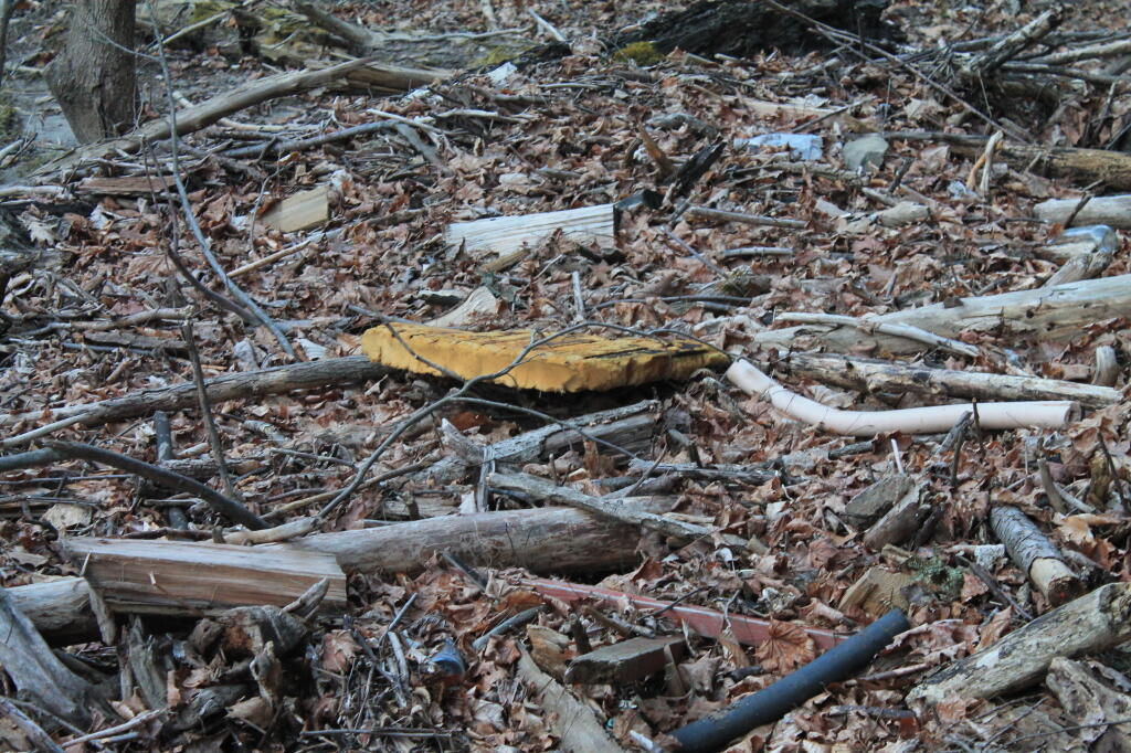 Photo: Junk Washed Down the Hannacroix Creek