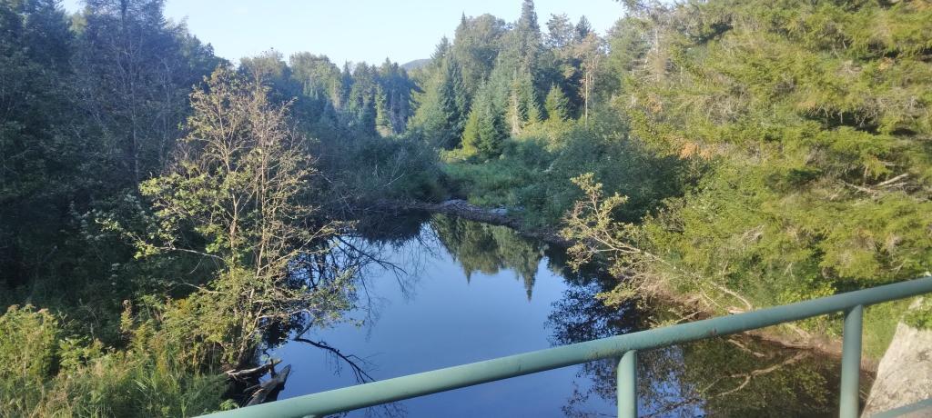 Photo: Quiet Jessup River near the Spruce Lake Trailhead