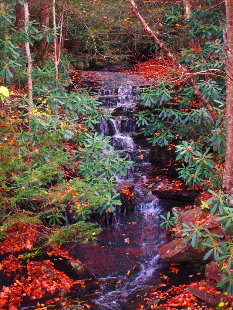 Photo: Falls Along Canaan Loop Road