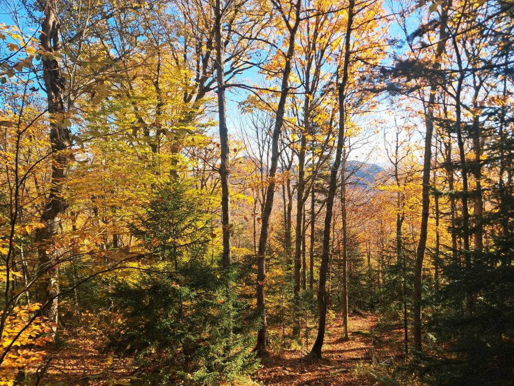 Photo: Untitled [Expires October 24 2026]