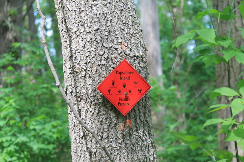 Photo: Papscanee Island Trail Photo: Papscanee Island Trail