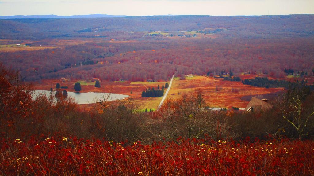 Photo: Canaan Valley Photo: Canaan Valley