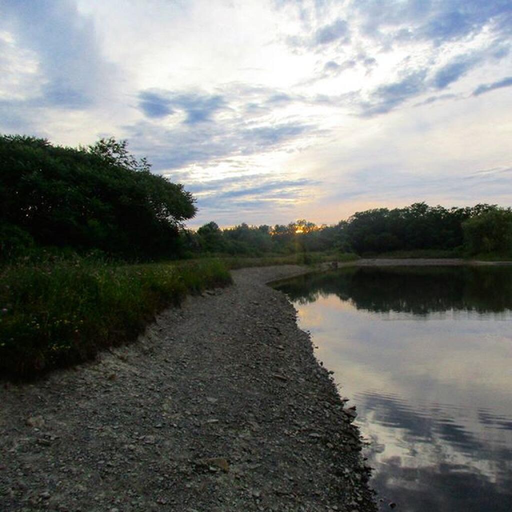 Photo: Foster Pond is about 4 ft below normal