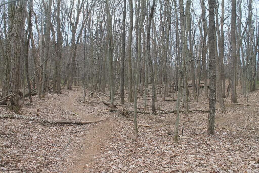 Photo: Along the Old Road