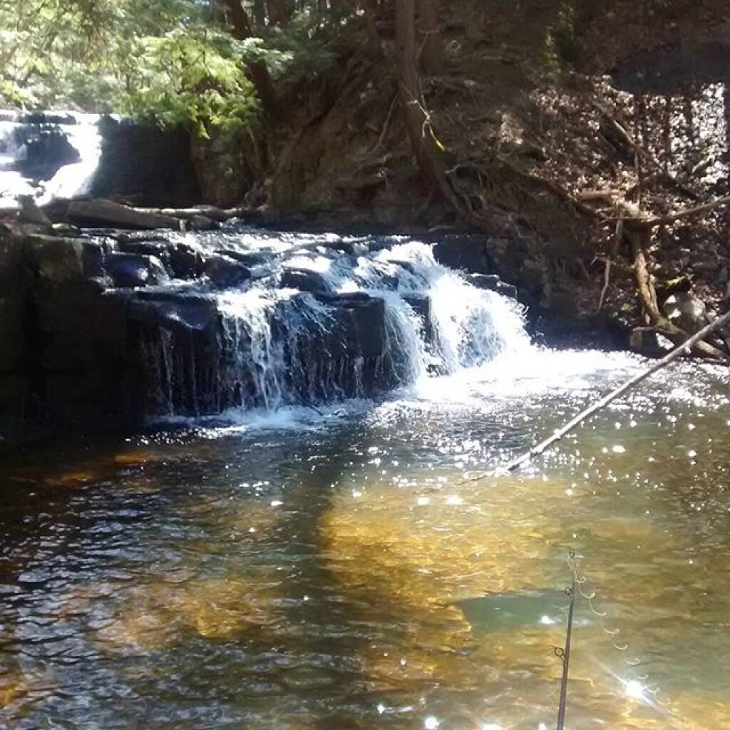 Photo: Pretty place to waste time