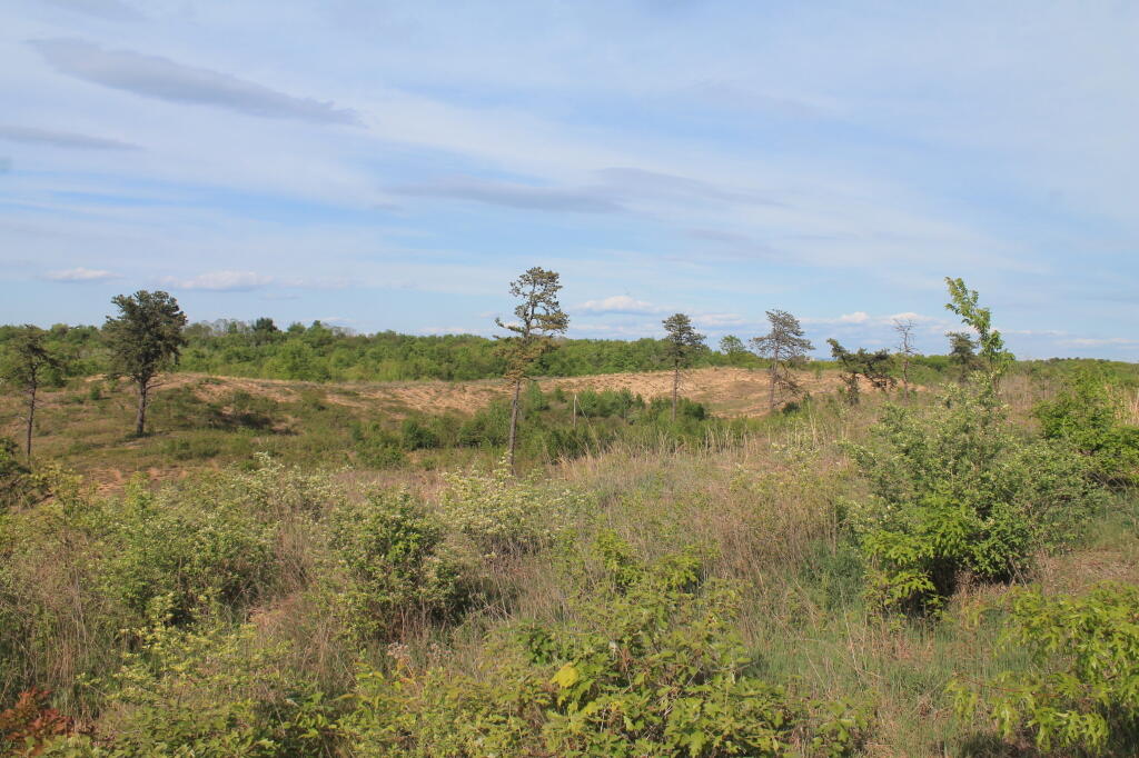 Photo: IMG 0022