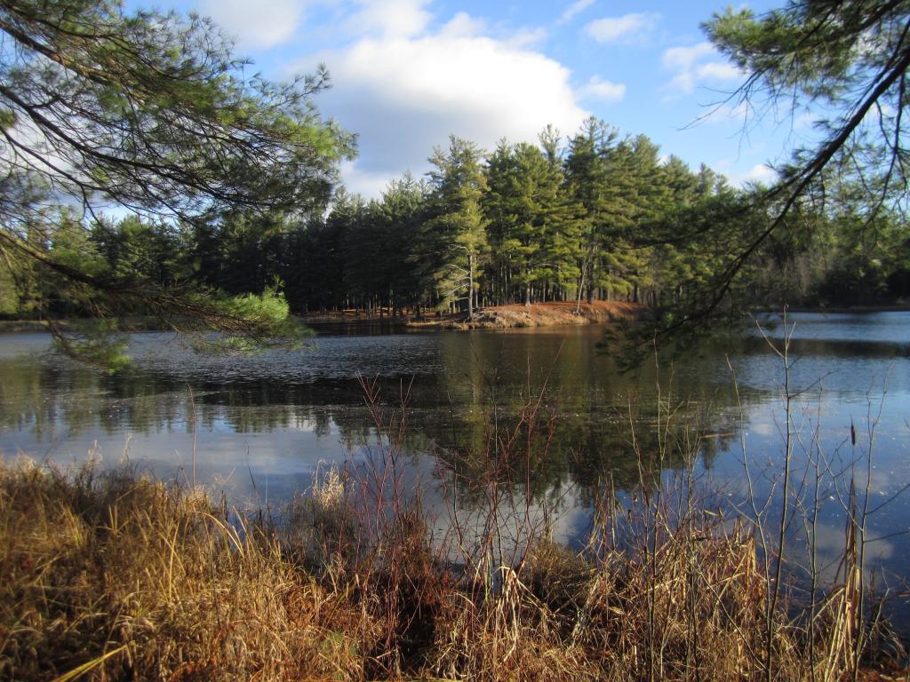 Photo: CCC Pond Photo: CCC Pond